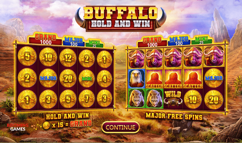 Welcome to the Buffalo Hold and Win.