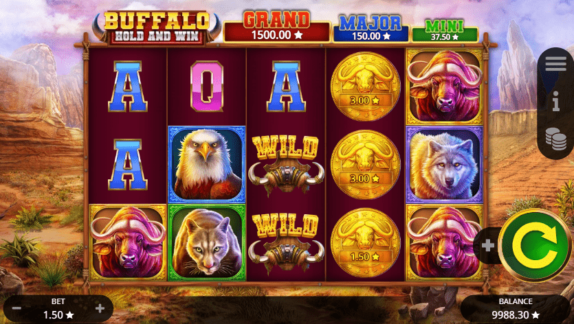 Bonus symbols for Hold and Win in Buffalo