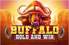 Experience the Buffalo Hold and Win Review slot game at Pin Up.